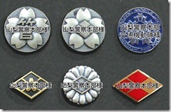 20180710.バッジ一覧