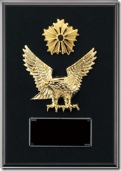 5386e